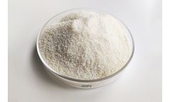 Comcess - Model A203FG - Food Grade Macroporous Strong Base Anion