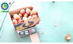 Layer Type Onion Peeling Machine - Video