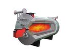 Bidragon - Thermal Oil Heater