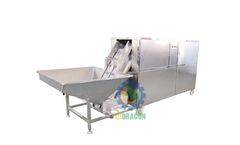 Bidragon - Model Layer Type - Onion Peeling Machine