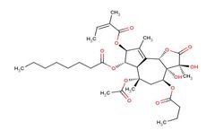 ALL Chemistry Inc. - Model SAPO11426 - Thapsigargin