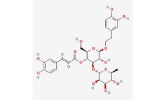 ALL Chemistry Inc. - Model SP5311173 - Verbascoside