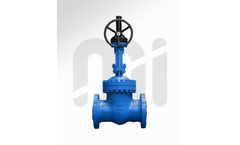Motipur - Bolted Bonnet Gate Valve