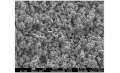 Famous - Model Type Y - Zeolite
