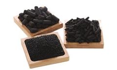 Famous - Coal Based Pellet Activated Carbon