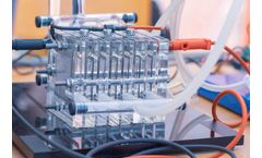 Hydrogen Fuel Cells