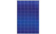 Universal Solar - Model WXS240P6-US - Photovoltaic Module