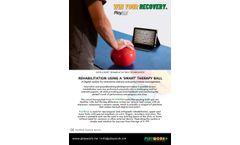 Playwork - Model IOT - Therapy Ball- Brochure