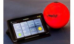 Premium Business Edition - Therapy Ball