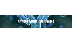 Antibody-Drug Conjugates (ADCs) Services