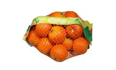 Giro GirBagger - Dual Handle