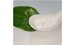 Hoyan - Model CAS 73-78-9 - Raw Powder Lidocaine Hydrochloride