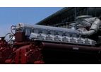 Power Generation Services