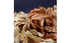 SWM - Reconstituted Material for Aerosol Generation