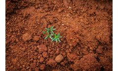 Geosynthetic Material for Retaining Walls & Soil Reinforcement