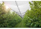 Ocean Global - Anti Hail Netting