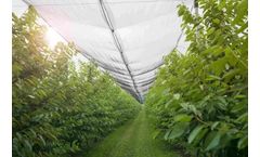 Ocean Global - Anti Hail Netting