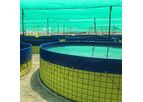 Ocean Global - Biofloc Fish Tank System