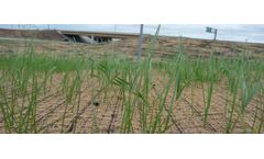 Ocean Global - Erosion Control Mats and Blankets