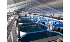 Recirculating Aquaculture System