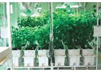 Bio-Green - Model Multi-Tricho - Granular