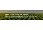 Bio-Green - Model BSB - Beneficial Microbial Blend