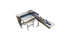 Reids - Model Type S 31XL - Riva Selegg Egg Grader