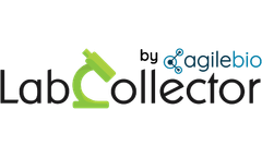 Media File Management System