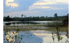 Comprehensive Management Programs Services