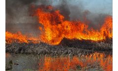 Invasive Aquatic Species Control Services