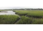 Aquatic Plant & Habitat Surveys Services