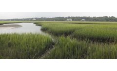Aquatic Plant & Habitat Surveys Services