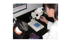 Trojan - Piloting Service