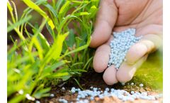 Raman Spectroscopy Solutions for Fertilizer Industry