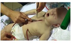 Lifecast - Model Harley2 - Emergency Resternotomy Manikin