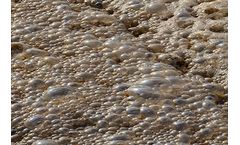 ChemREADY - Model NoFoam - Anti-Foam Agents