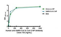 Croyez - Model Clone 103 - Human Anti-SARS-CoV & CoV-2 NP Antibody (IgG)
