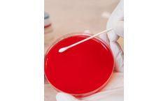 Microbiology Service