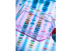 Molecular Diagnostics/Serology Service