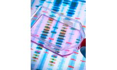 Molecular Diagnostics/Serology Service