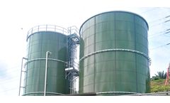 Anaerobic biological processes