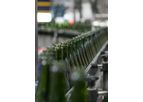Charmat Sparkling Wine Production Service