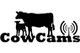 Cowcams