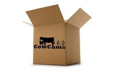 Cowcams - Three 4x Wireless Cameras & One 36x Package for 1 Barn