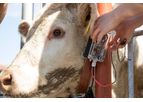 Calving - Multi-Sensory Collar
