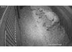 Riverwind - Wireless Barn Camera Systems