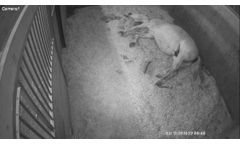 Riverwind - Wireless Barn Camera Systems