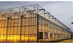 Insongreen - Venlo Greenhouse