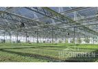 Insongreen - Widespan Greenhouse