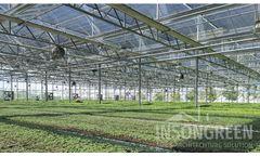 Insongreen - Widespan Greenhouse